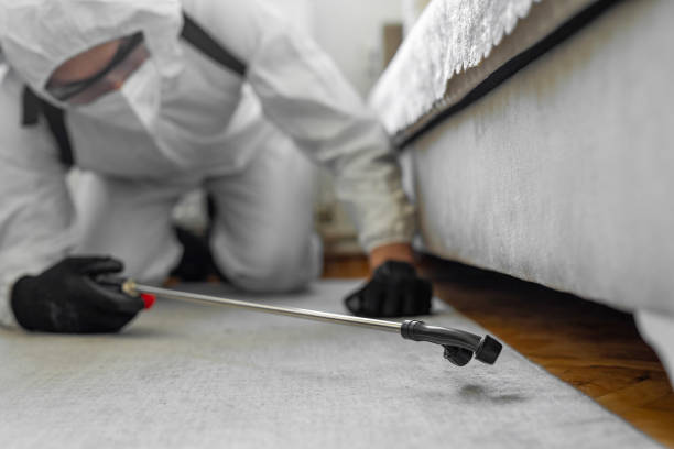 Professional Cockroach Control technician working in Utica, SC