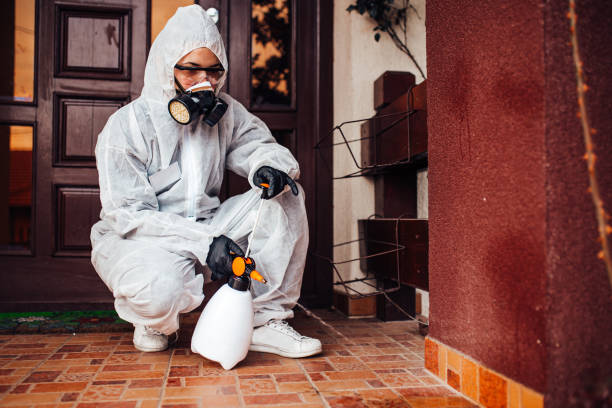 Reliable Cockroach Control contractor in Utica, SC by Nex Pest Control